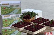 查缺五行高速赋能产业升级：一条“杨梅路”的致富密码